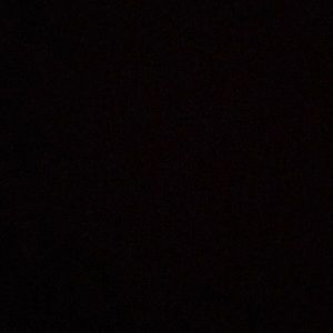 Meet your Posher, Ella